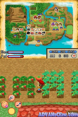 Harvest Moon Island of Happiness screenshot 3 for Nintendo DS